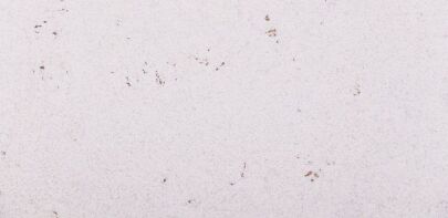 Wandkork MALTA SNOW 3MM
